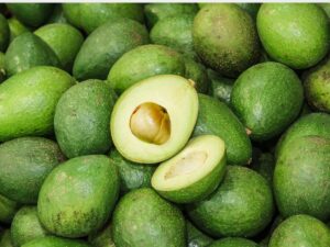 Avocado daily dite : यह फल है पोषण का पावर हाउस, नतीजे देख रह जायेंगे दंग