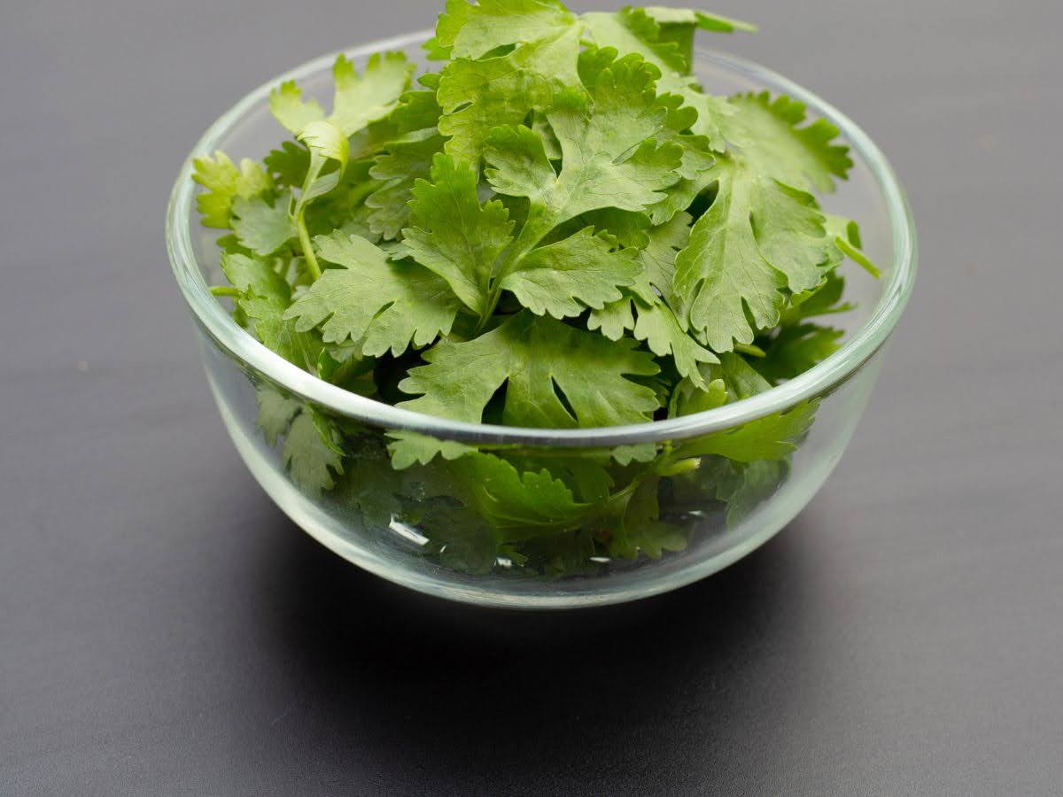 Coriander leaves health benefits