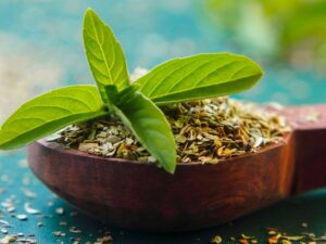 Herbal Extract In Ayurveda