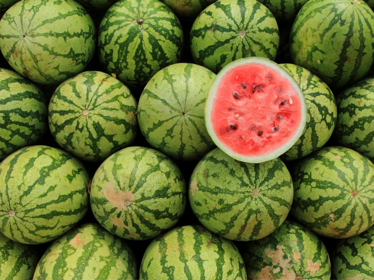 Watermelon Healthy Tips