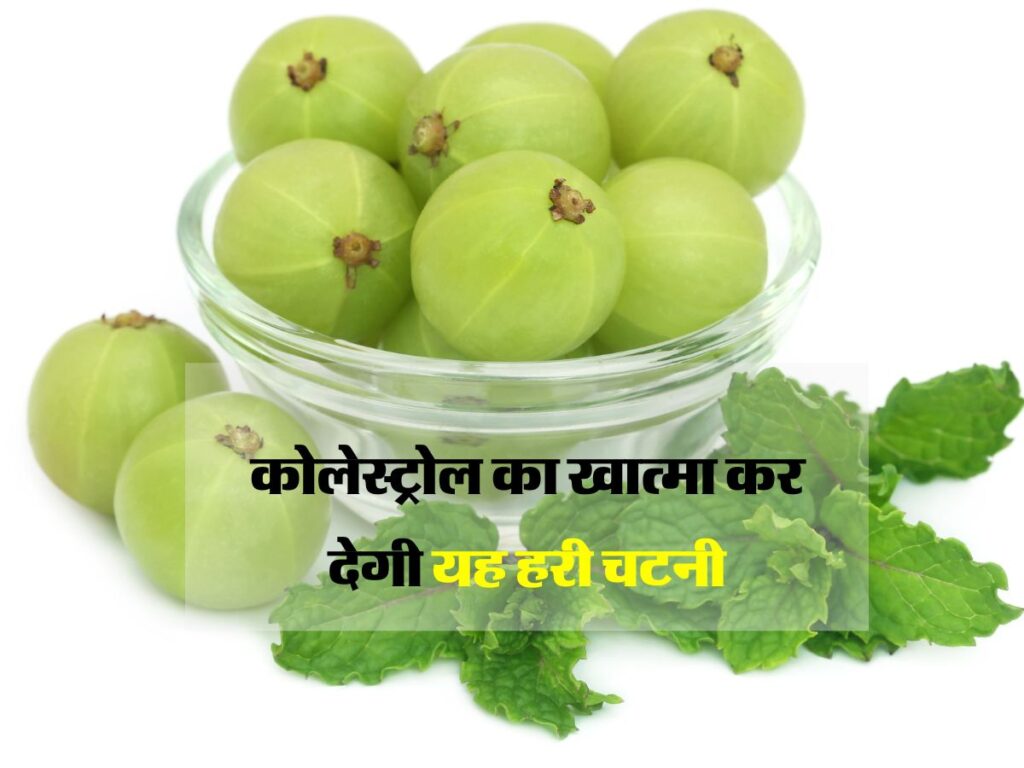 हरा धनिया chatni